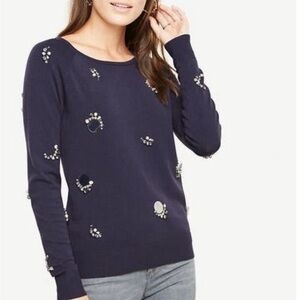 Ann Taylor Embellished Navy Sweater - XS